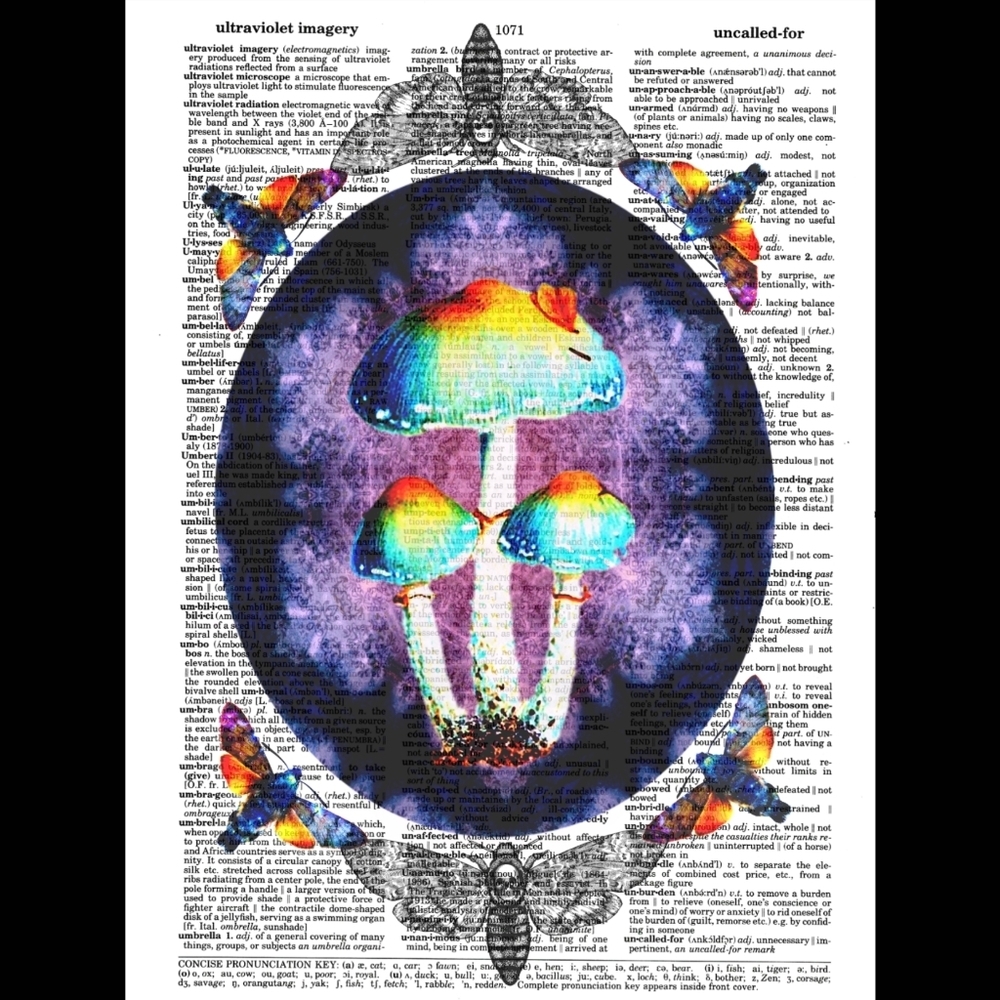 Colorful Mushroom Death Moth Nature Vintage Dictionary Art Pri…